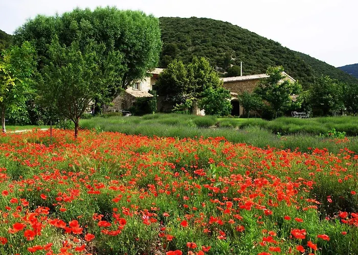 Le Mas De La Fontaine Bed & Breakfast Le Pegue photo