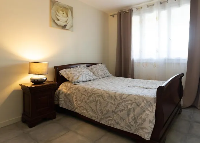 Le Bel Air Apartment Villeurbanne photo