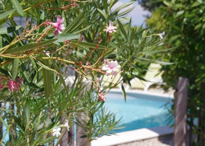 Le Grand Cedre - 2 Chambres D'Hotes - Sud Ardeche Bourg-Saint-Andéol Foto