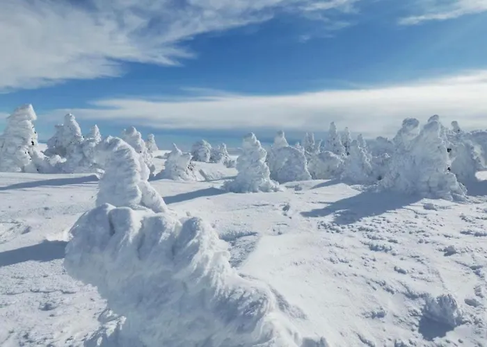 fotos do Loire-Gerbier-Mezenc Apartamento Sainte-Eulalie 