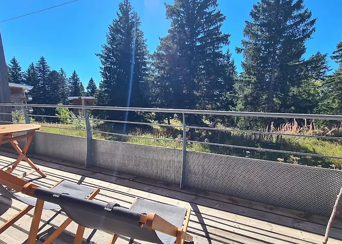 Chamrousse, 50M Piste, Wifi +, Terrasse Vue Sapins 아파트 사진