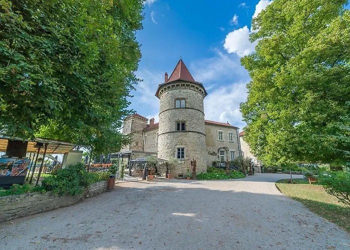 Chateau Chapeau Cornu Vignieu foto