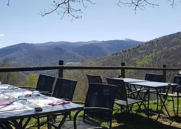 Auberge Les Myrtilles Le Bosc  foto