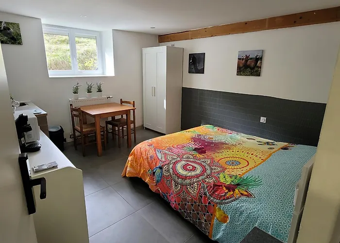 Alpagas Du Domaine Mael Bed & Breakfast Saint-Antoine  photo