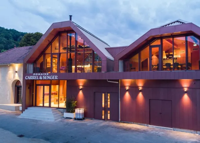 Bed and Breakfast Domaine Carrel&Senger Jongieux Foto