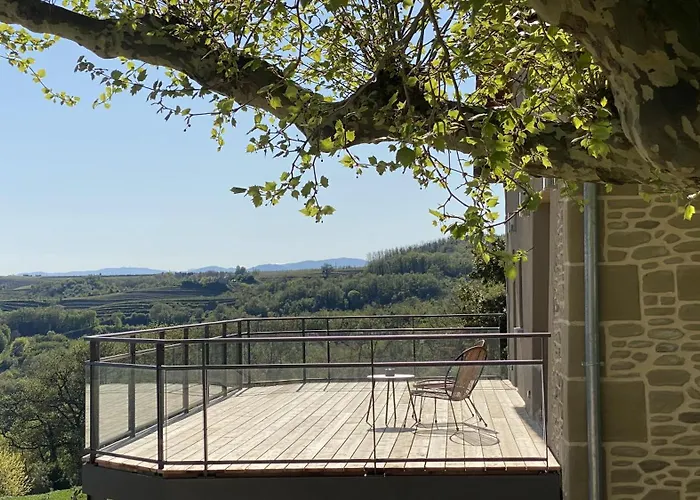 Domaine Saint Sauveur - Gite De Charme Au Coeur De L'Hermitage 尚泰梅尔莱布莱照片