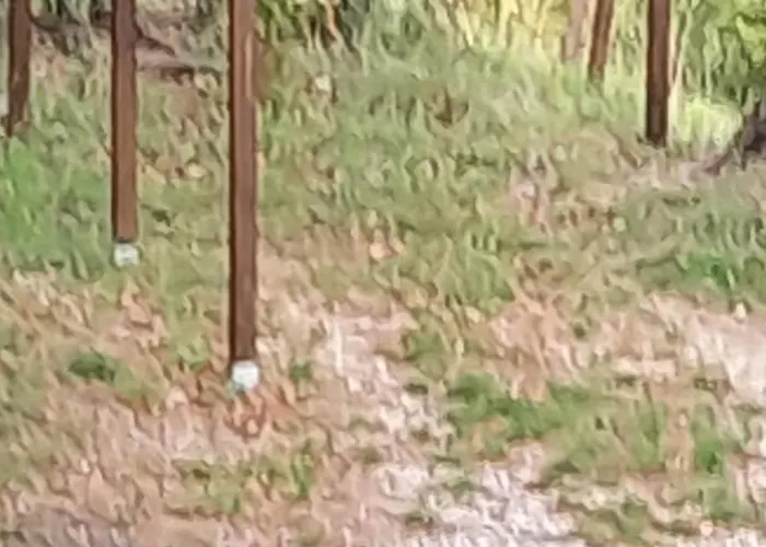 Gite Du Val D Eygues Sahune foto