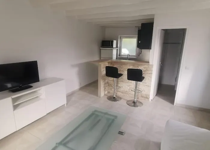 Appartement Moderne - Aeroport Cdg Asterix Paris Villeron φωτογραφία