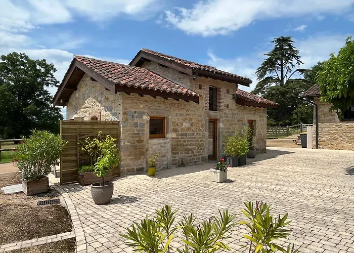 הוילה Ceyzeriat La Ferme Des Soudanieres תמונה