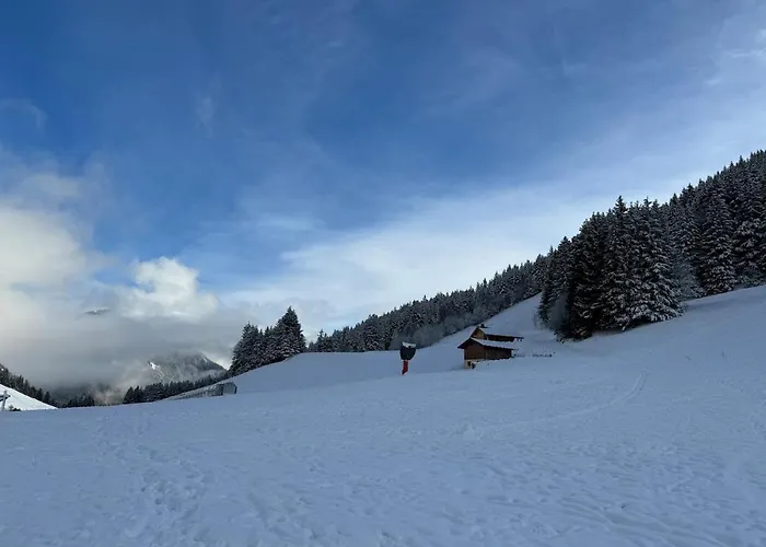 Фото 2-Bed Appt 20 Mins From Morzine Portes Du Soleil French Alps La Baume