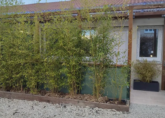 Studio L Oyonnax Foto