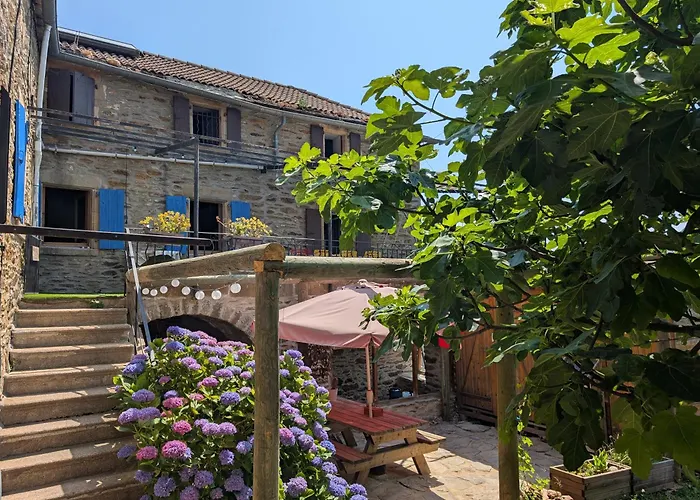 Gite De L'Olivier - 3 Etoiles - Domaine De L'Olivier Faugeres 照片