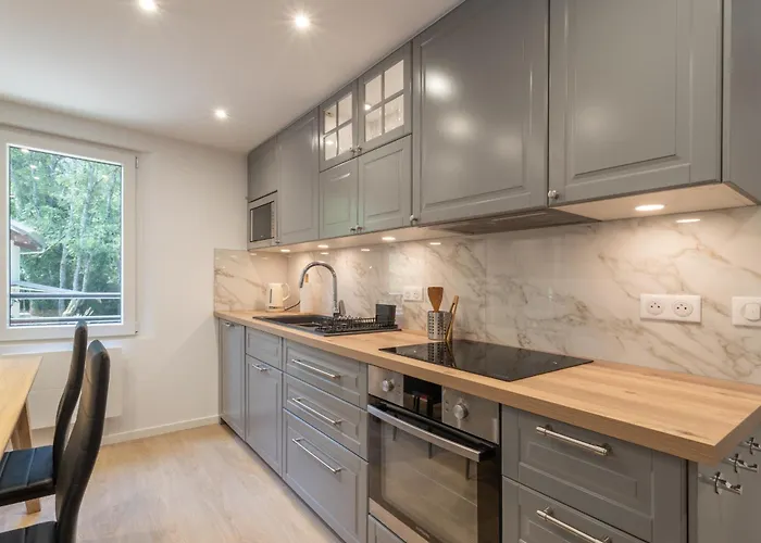 Le Moulin Paradis Entre Geneve&Annecy Viry 照片