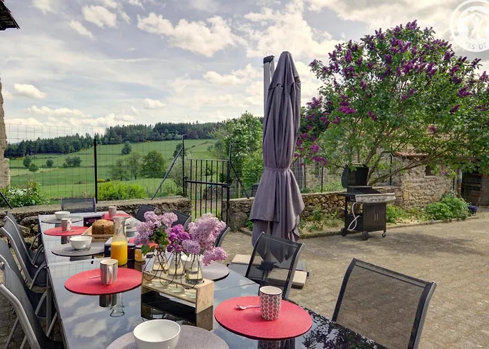 Gite De Charme, 3 Chambres, Jardin, Ping-Pong - Fr-1-496-253 Chalmazel-Jeansagniere foto