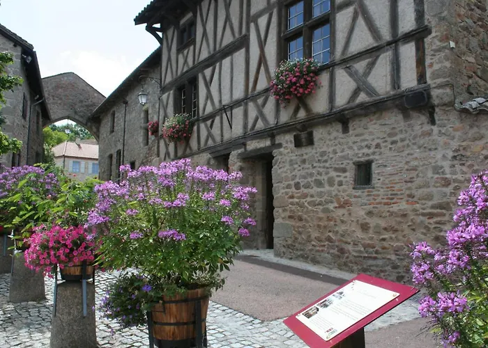 Gite Spacieux Avec Jacuzzi Et Animaux Acceptes, Jusqu'A 12 Pers - Fr-1-496-341 Le Crozet foto