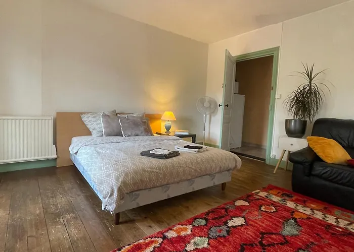 Фото Grand Studio Et Jolies Chambres A Louer Passins