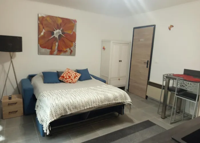 Fully Equipped Studio Saint-Germain-de-Joux foto