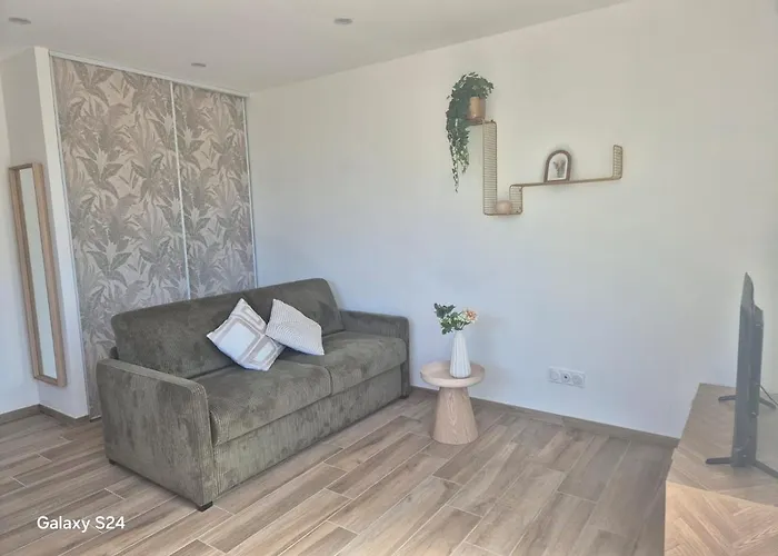 Appartement T2 Avec Jardin - Saint Maurice L'Exil foto