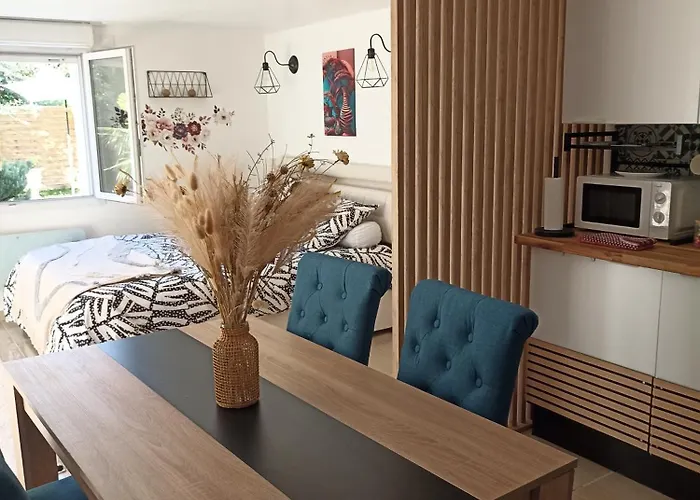 L'Oceane Appartement Saint-Maurice-de-Beynost foto