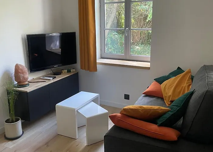 fotos do Charming Renovated Apartment, 15 Min From Lyon Couzon-au-Mont-d'Or