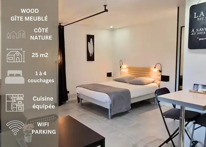 Apartamento GEST-LOC LOCATION MEUBLÉE Wood JARDIN&TERRASSE PRIVATIVE - PARKING PRIVÉ Laveyron foto