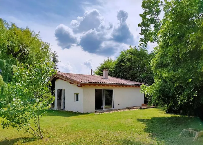 Reveil Au Chant Des Oiseaux Chalain-le-Comtal photo