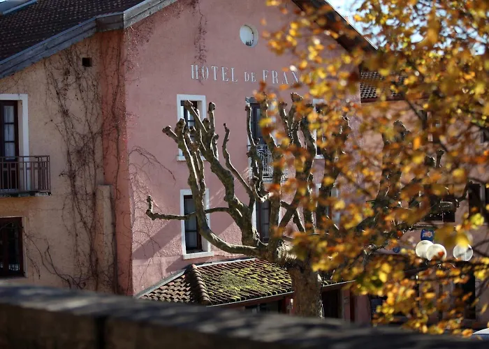 Logis Hotel De France La Cote-Saint-Andre foto