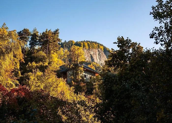 サン・ジャン・ド・モーリエンヌ Le Sapin Du Renardヴィラの写真