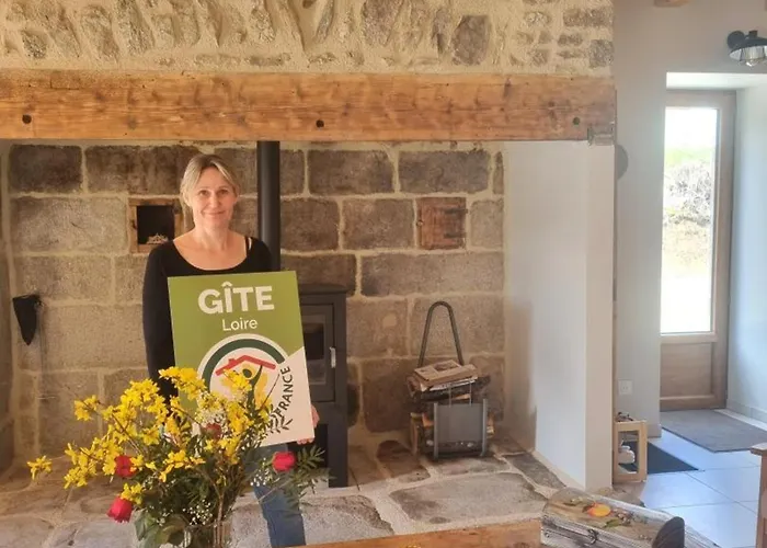 Maison De Campagne Renovee, Ideale Pour 10 Pers, Cadre Naturel Et Confort Moderne - Fr-1-496-347 Gumieres  fotorgafie