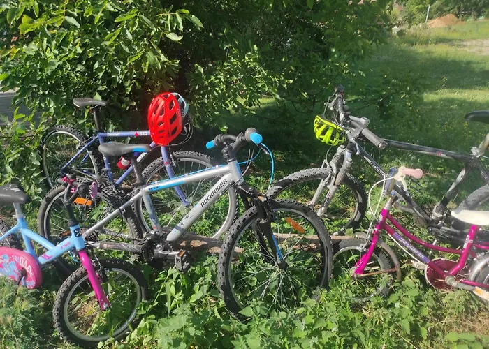 Photo de Villa Campagne et Jacuzzi ... c'est cosy le Bumble Bee ! à Panossas