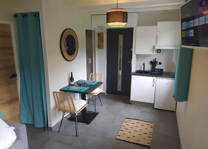 Chambre Avec Cuisine, Entree Et Terrasse Privee ! Curienne fotorgafie