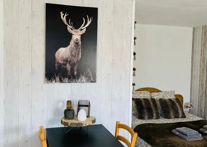 Ferienwohnung Le Refuge Du Cerf Allemont Foto