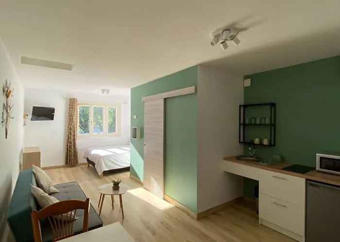 foto di Les Studios Du Village Viriat