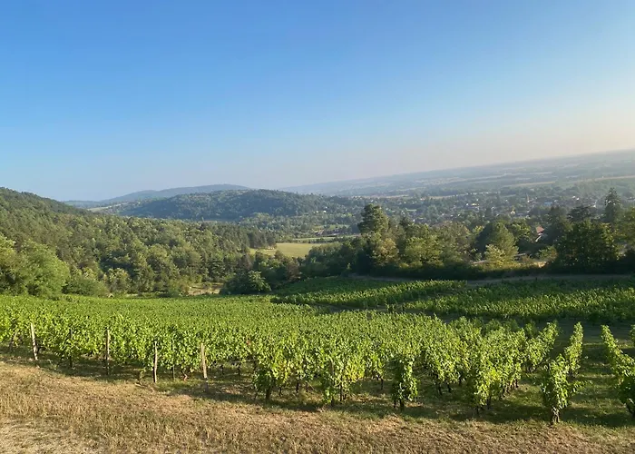 Clos De Mont July, Architecture Xviiie Au Coeur De La Nature Ceyzeriat fotorgafie