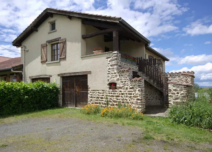 Gite Familial Avec Jeux Exterieurs Pres De St-Galmier - Fr-1-496-281 Saint-Médard-en-Forez Foto