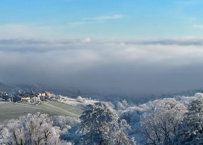 Le Clos Du Botaniste Pouilly-le-Monial Foto