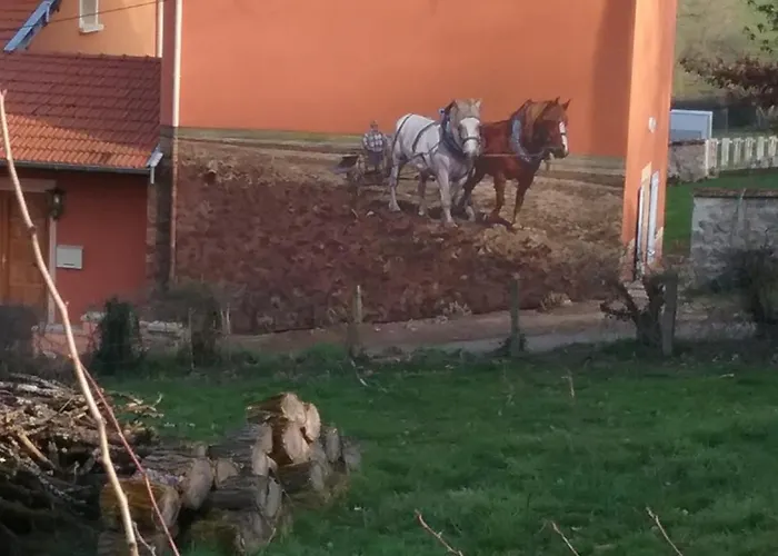 صورة فيلا La Vache Sur Le Toit Montagny 