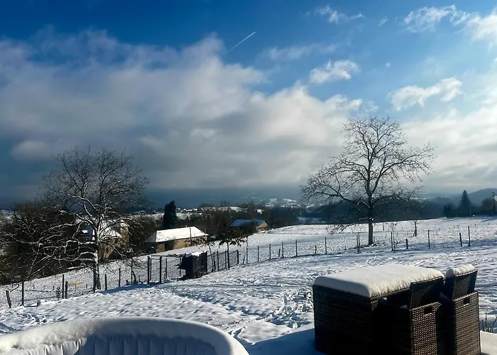 La Maisonnette De La Planchette Dullin foto