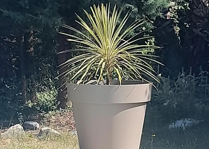 Portes-en-Valdaine Maison D'Hote - Le Valdaine תמונה