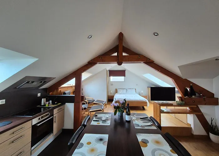 foto di Les Perles De Sophie Gite La Dent Du Chat Le Bourget-du-Lac