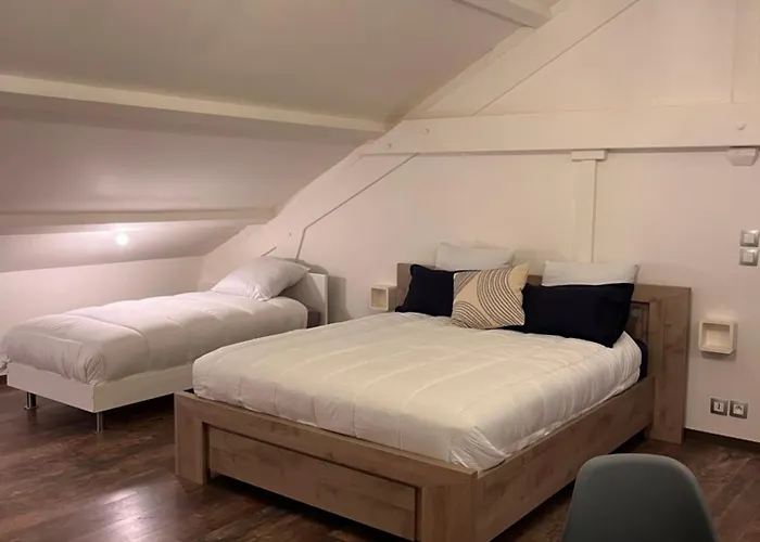 생-로랭-드-뮈르 L'Escale Aero Lyon 아파트 사진