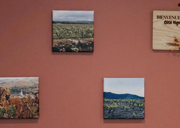 Apartament La Batisse Des Tuileries Cote Vigne Lamure-sur-Azergues zdjęcie