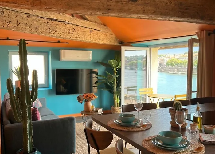 La Jouvence - Appartements A Theme, Avec Balcon Vue Saone Et Climatises Saint-Laurent-sur-Saone照片