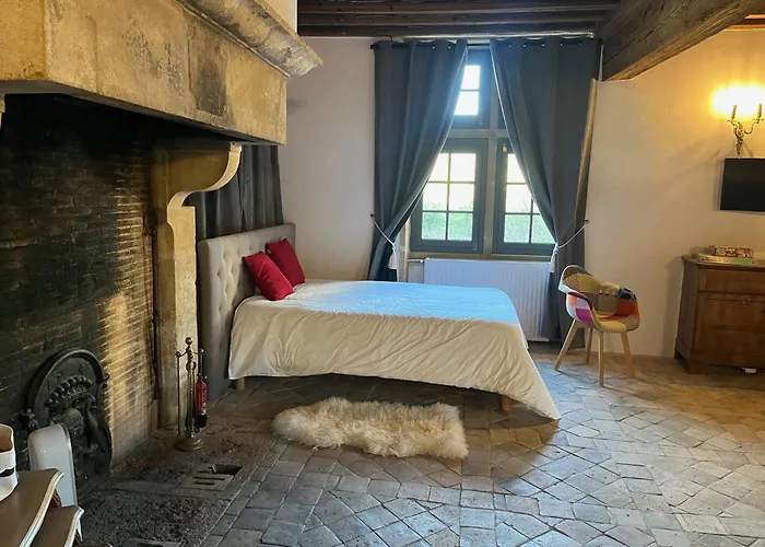 Château de Rancé, ses appartements Genay  foto