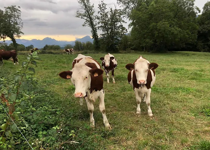 foto di établissement non disponible