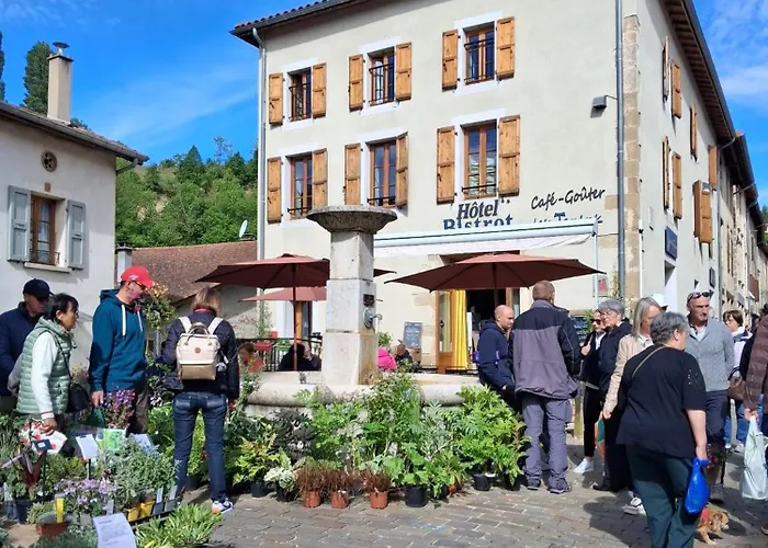 Hotel Bistrot Les Tanins Saint-Antoine 照片