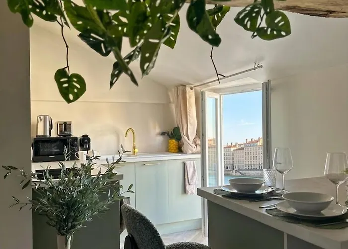 Le Pouilly - T2 - Balcon Vue Saone, Climatisation & Nature Saint-Laurent-sur-Saone φωτογραφία