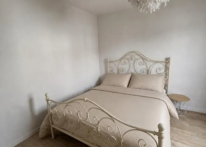 Appartement Cosy Meythet照片