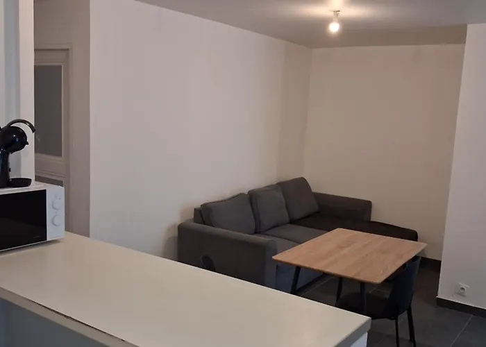 Appartement 2 Chambres Avec Balcons Annonay Foto