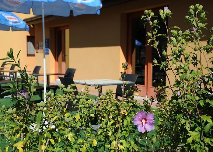 Comfort Hotel Bourg En Bresse Viriat photo
